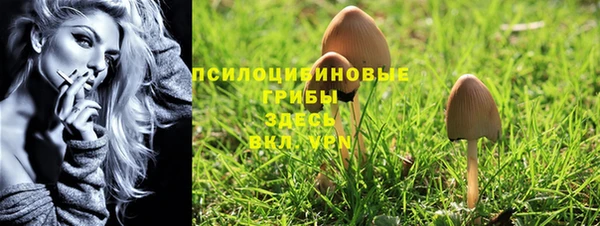 трава Краснослободск